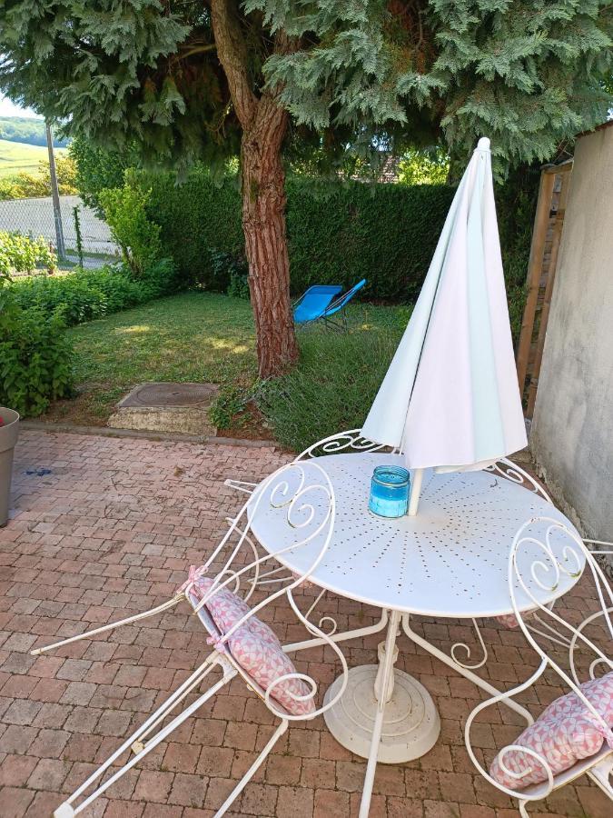 Gîte indépendant Diz'enreves au cœur des vignes Dizy Extérieur photo