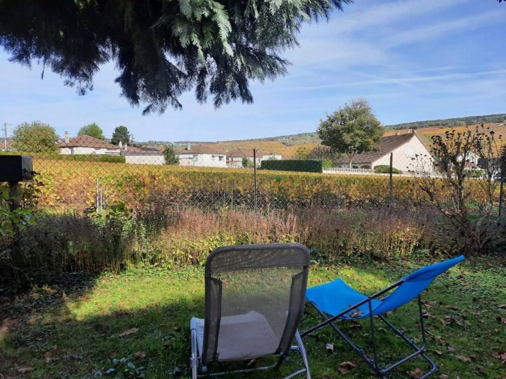 Gîte indépendant Diz'enreves au cœur des vignes Dizy Extérieur photo